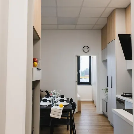 Popielate Apartment