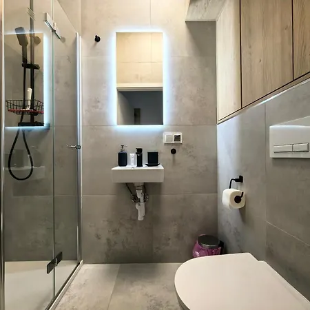 Popielate Apartment Zywiec