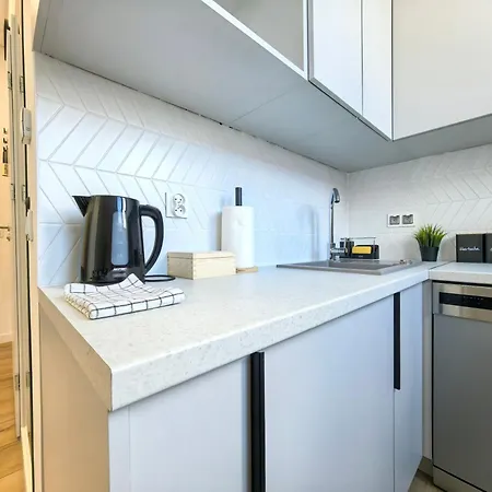 Popielate Apartment Zywiec